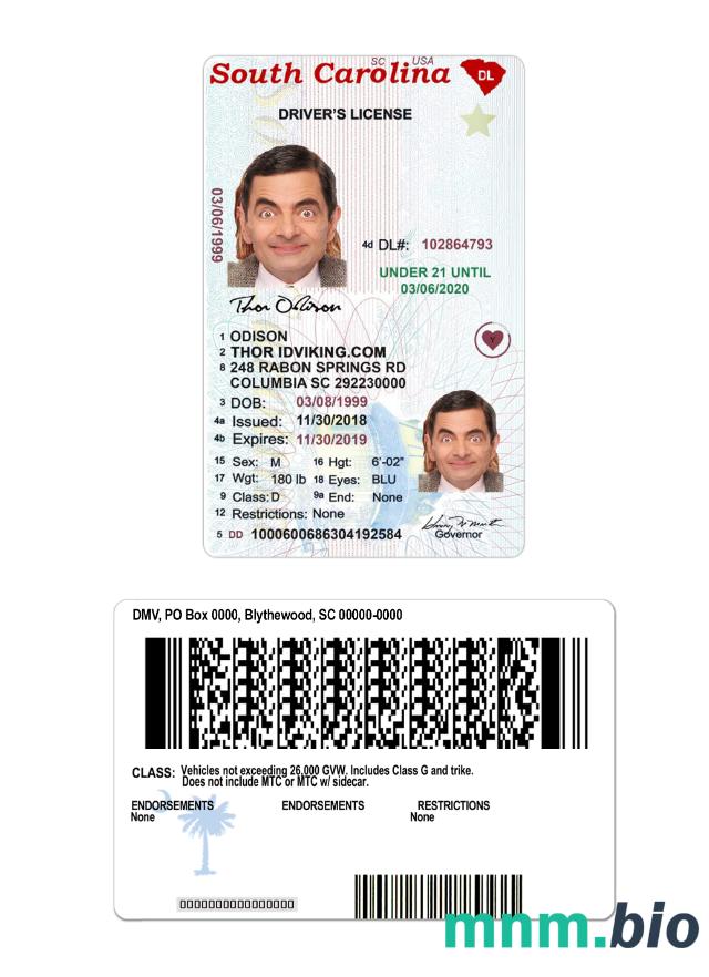 Szablon prawa jazdy USA South Carolina under 21 w formacie PSD, ze wszystkimi czcionkami